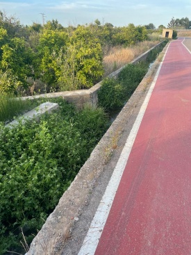 Fotografia /Galeria/2025/5/245440_157650/2_M1.jpg