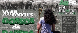 Ares se prepara para la 18 edicin del concurso de perros pastores el 15 de junio