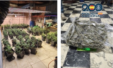 Desarticulan cultivo de marihuana controlado por una misma familia en Castellón