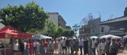 xito en las Jornadas y Feria de la Salud de Oropesa del Mar