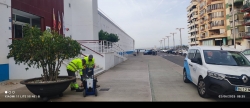 Burriana y Facsa refuerzan el control de plagas en el alcantarillado con una nueva campaa de tratamientos programados
