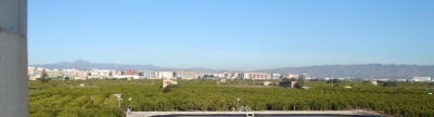 La Comunitat de Regants de Vila-real acomete un proyecto de digitalizacin para mejorar la rentabilidad y la falta de relevo