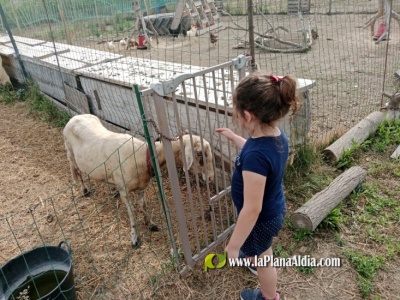 Fotografia /Galeria/2025/6/245855_157957/3_M1.jpg