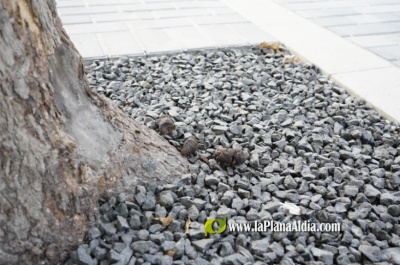 Fotografia /Galeria/2025/7/246441_158396/6_M1.jpg