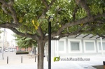 Fotografia /Galeria/2025/7/246441_158396/9_M1.jpg