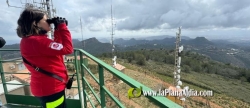 La Conselleria de Medio Ambiente destina ms de 20 millones de euros a la vigilancia preventiva de incendios forestales