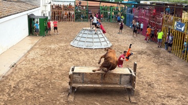 Fotografia /Galeria/2025/7/246565_158500/3_M1.jpg