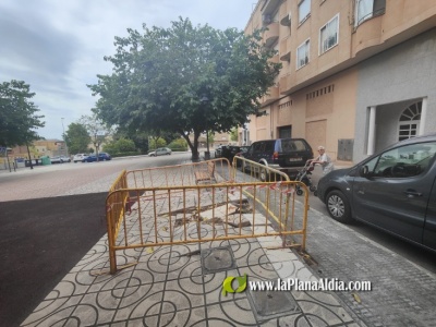 Fotografia /Galeria/2025/7/246632_158544/3_M1.jpg