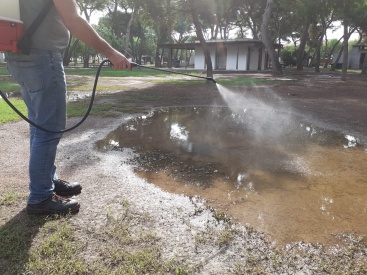 Castelln refuerza las actuaciones tras las lluvias para prevenir la proliferacin de mosquitos