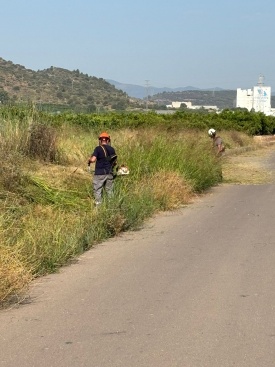 La Llosa contrata a 6 peones agrícolas para el verano