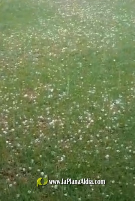 Fotografia /Galeria/2025/7/246797_158668/3_M1.jpg