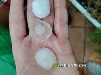 Fotografia /Galeria/2025/7/246797_158668/4_M1.jpg