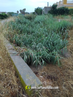 Fotografia /Galeria/2025/7/246804_158673/2_M1.jpg