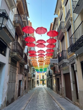 Fotografia /Galeria/2025/7/246903_158745/2_M1.jpg