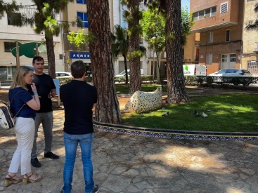 Vila-real busca soluciones para la superpoblación de palomas
