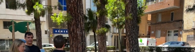 Vila-real busca soluciones para la superpoblacin de palomas