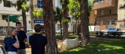 Vila-real busca solucions per a la superpoblaci de coloms