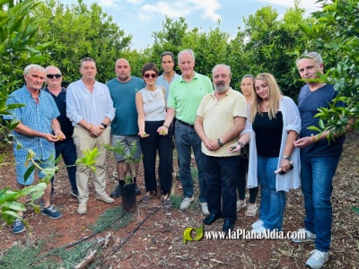 VOX secunda declarar Zona Catastròfica els municipis de Castelló afectats per la calamarsada i reclama ajudes urgents per a salvar la clemenules i el camp espanyol