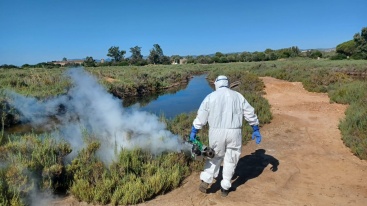 Torreblanca intensifica la lucha contra los mosquitos tras las tormentas de julio y solicita la colaboracin ciudadana