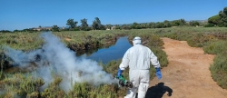 torreblanca-intensifica-la-lucha-contra-los-mosquitos-tras-las-tormentas-de-julio-y-solicita-la-colaboracion-ciudadana