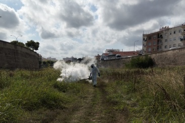Burriana refuerza los tratamientos contra mosquitos con nuevas fumigaciones en Santa Brbara y el ro Ana