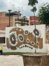 Fotografia /Galeria/2025/7/247283_159020/3_M1.jpg