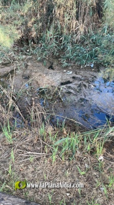 Fotografia /Galeria/2025/7/247295_159029/2_M1.jpg