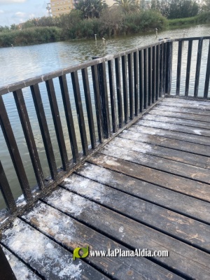 Fotografia /Galeria/2025/7/247295_159029/3_M1.jpg