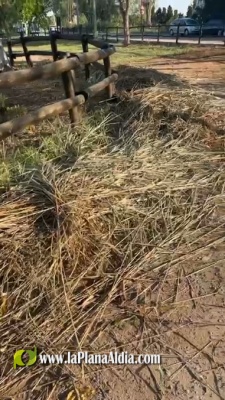 Fotografia /Galeria/2025/7/247295_159029/4_M1.jpg