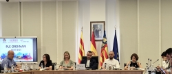 Vila-real suspende concesin de licencias en Alquera de Puchol para crear parque urbano