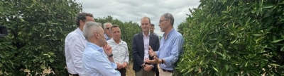 Los agricultores afectados por el pedrisco recibirn 20 millones de euros del seguro agrario