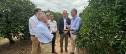 Los agricultores afectados por el pedrisco recibirn 20 millones de euros del seguro agrario