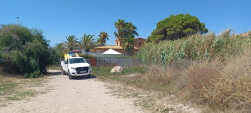 Fotografia /Galeria/2025/7/247436_159141/5_M1.jpg