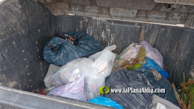 Fotografia /Galeria/2025/7/247502_159195/3_M1.jpg