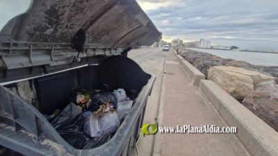 Fotografia /Galeria/2025/7/247502_159195/5_M1.jpg