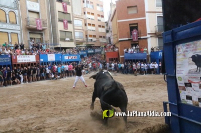 Fotografia /Galeria/2025/7/247503_159197/2_M1.jpg