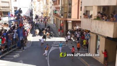 Fotografia /Galeria/2025/7/247503_159197/3_M1.jpg