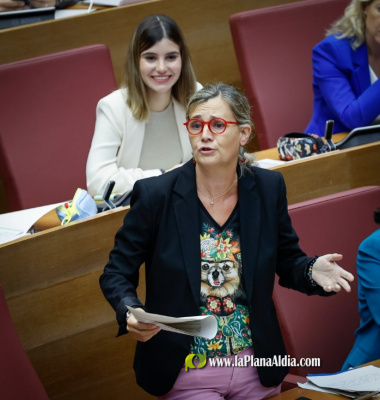 El PPCV pide al Gobierno de Snchez que pague su parte de la dependencia porque 'solo aporta el 20%'