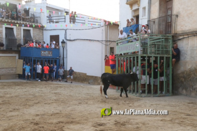 Excelente Cartel Taurino en las Fiestas de la pedana alcorina de Araia