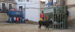 Excelente Cartel Taurino en las Fiestas de la pedana alcorina de Araia