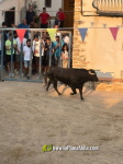 El d?a mas taurino de las Fiestas de la pedan?a alcorina de Araia 