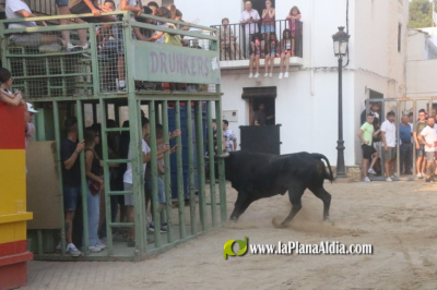 El da mas taurino de las Fiestas de la pedana alcorina de Araia 