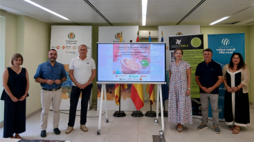 Vila-real celebra la X Trobada d'Elaboració d'Alioli amb un nou reconeixement: el primer 'Morter de l'Any'