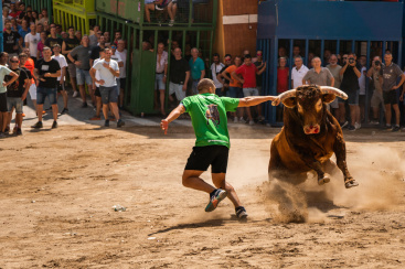 Arranquen els actes taurins de les Festes del Crist de l'Alcora