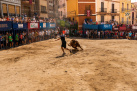 Fotografia /Galeria/2025/8/248423_159897/3_M1.jpg