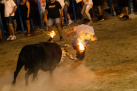 Fotografia /Galeria/2025/8/248423_159897/4_M1.jpg