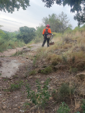 Ajuntament de Soneja avança en la tercera fase de prevenció d'incendis en el Monte Hoyo