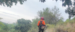 Ayuntamiento de Soneja avanza en la tercera fase de prevencin de incendios en el Monte Hoyo