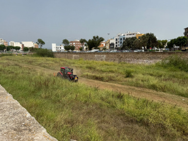 Burriana pone en marcha la limpieza del cauce del Río Anna en su tramo urbano