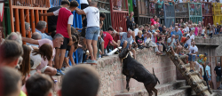 Festes multitudinries a Vilafams